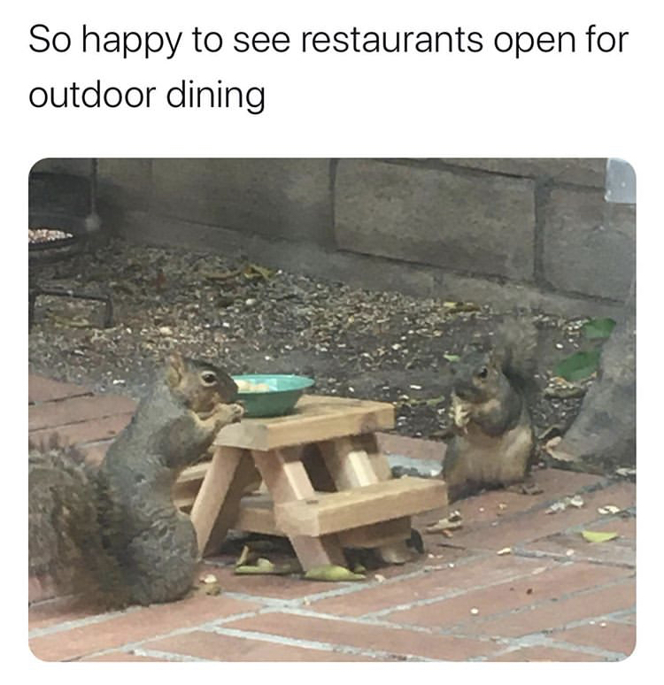 56 Funny Memes To Smile and Laugh At