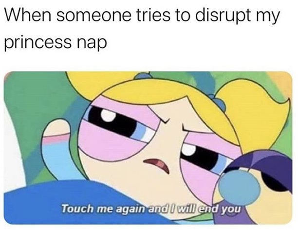 51 Funny Memes to Cruise on into the Weekend With