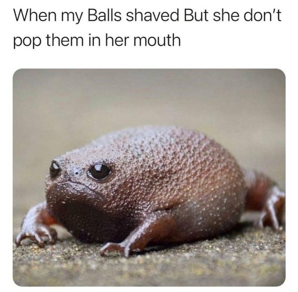 30 Funny Memes Strictly for the Boys (and You Too)