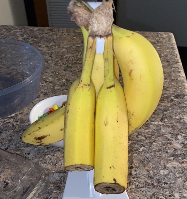 16 People Who For Better or Worse, Play by Their Own Rules