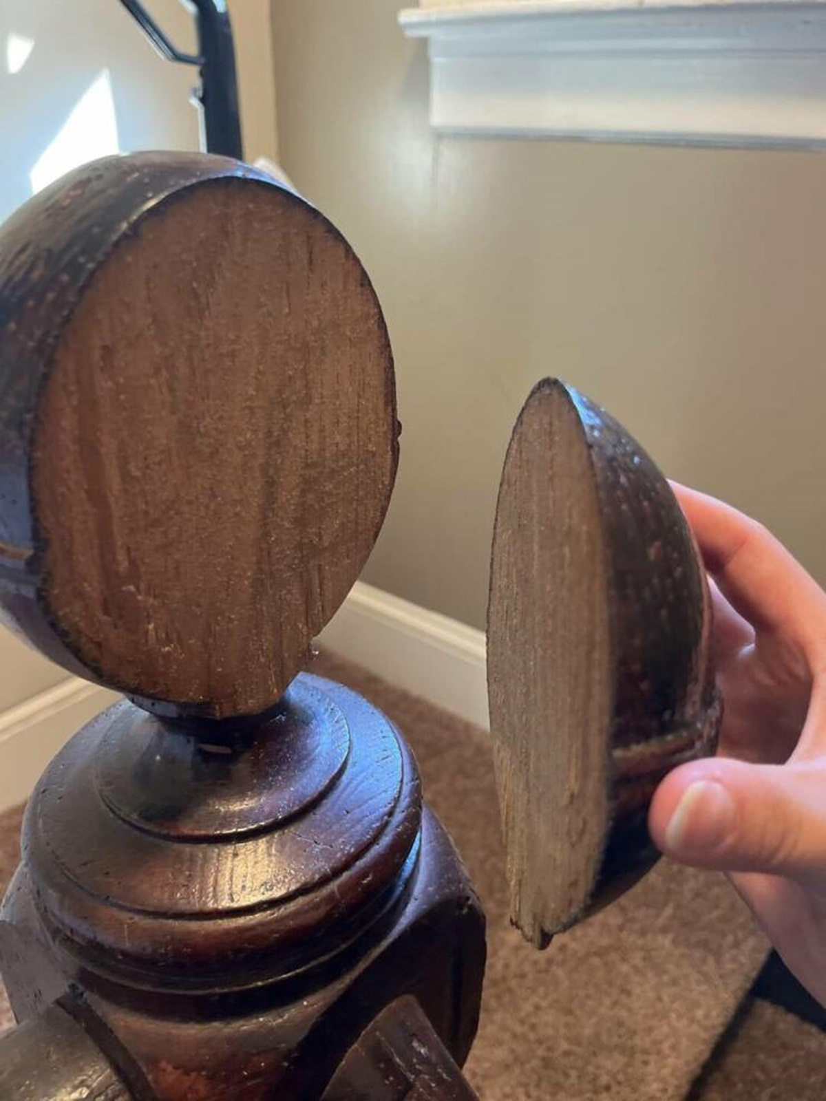 40 Odd, Interesting, and Cool Things You Don't See Everyday