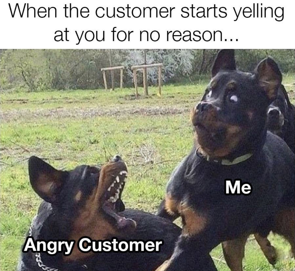 Funny Pics and Memes for Exquisite Minds (29 Images)