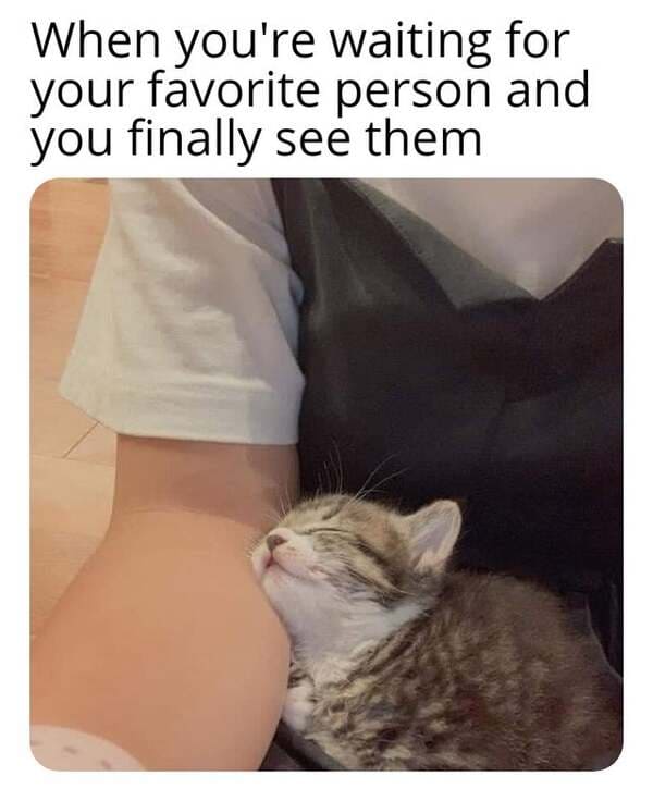 46 Wholesome Memes and Feel Good Stories To Boost Your Mood