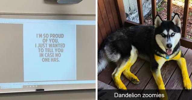 32 Wholesome Pics and Memes That Will Make Your Day Complete