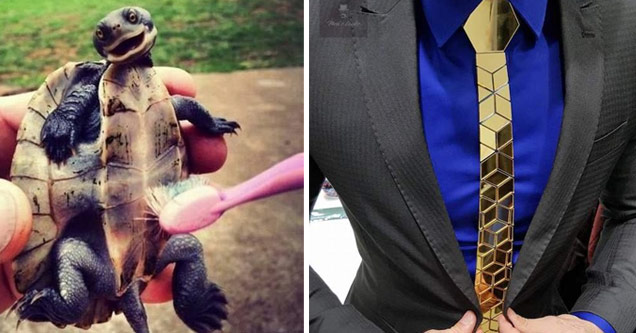 Enjoy a Nonchalant Compilation of 30 Quick Pics