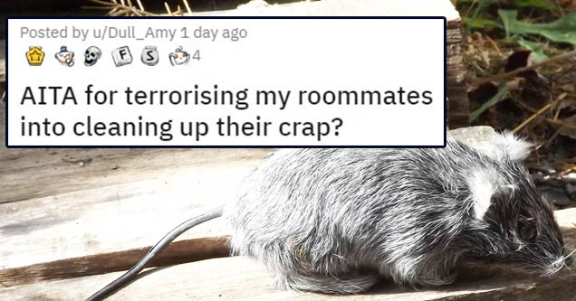 Girl's Brilliant Revenge Against Messy Roommates Gets Reddit's Seal of Approval