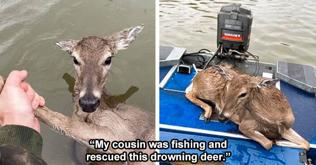 18 People With a Heart of Gold
