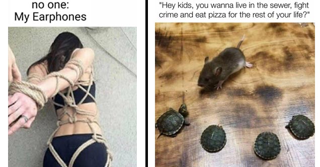 Get Nothing Done Today with a Massive Collection of Funny Memes