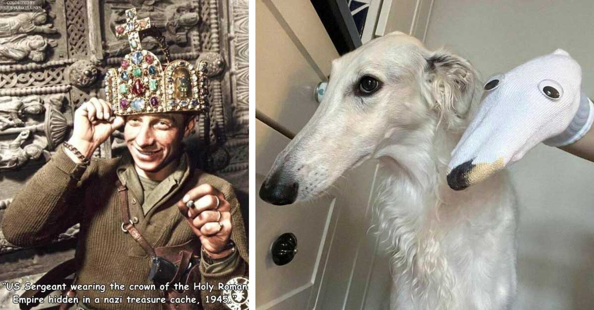 32 Pics for Your Daily Dose of Randoms