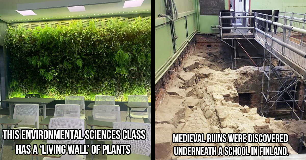 21 Interesting Things Seen on School Campuses