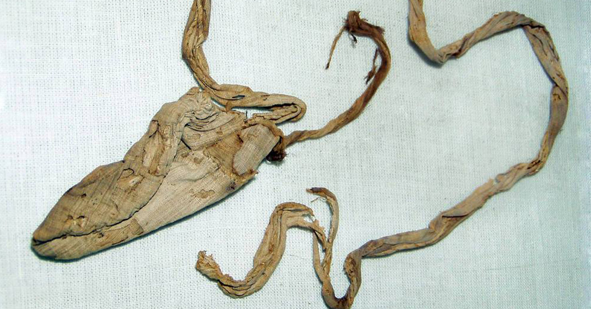 Did Archeologists Really Excavate Tutankhamun’s Condom?